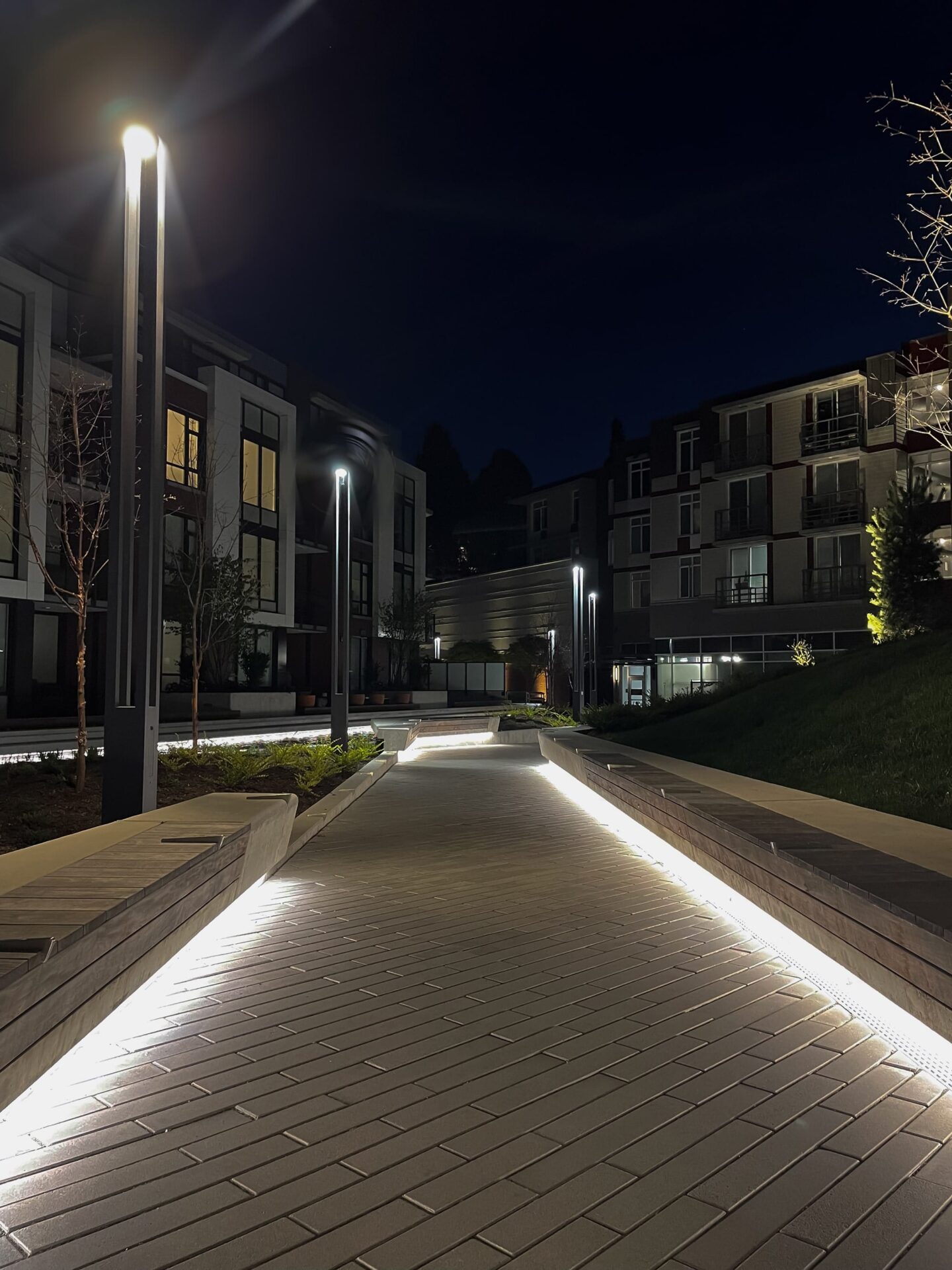 Macs II Agencies Capital Park Landscape Project Victoria BC 4